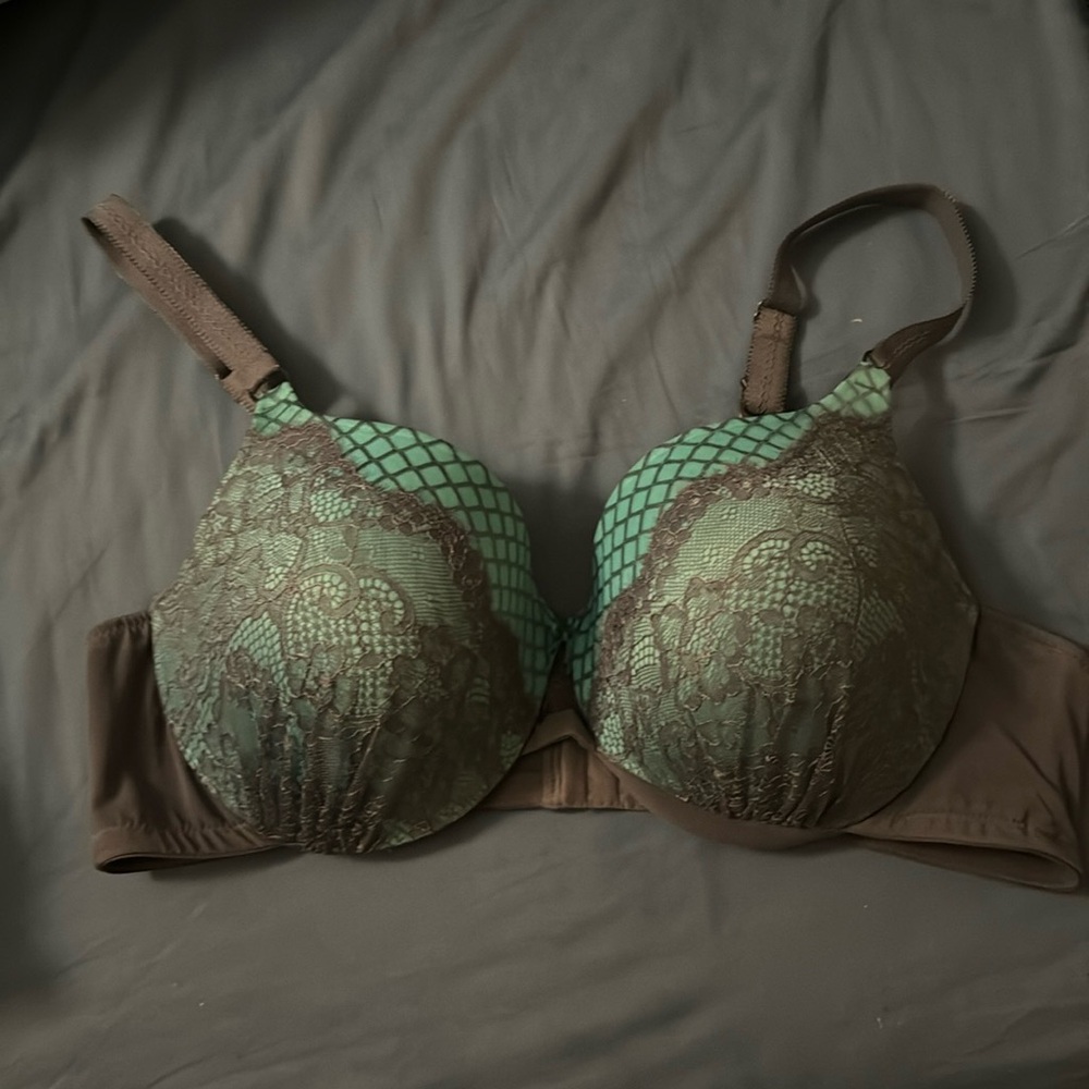 Ashley graham bra